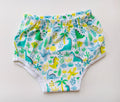Dinosaur - Padded underwear