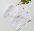 Star -Muslin Bib